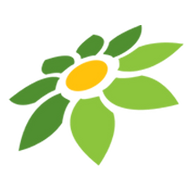 LINK SLOT
